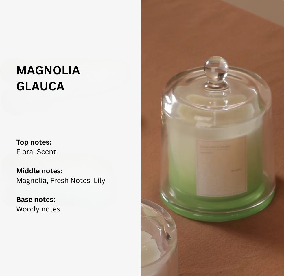 Magnolia Glauca 3-layer scented candle, fragrance notes – Simple Palette Singapore