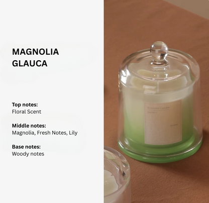 Magnolia Glauca 3-layer scented candle, fragrance notes – Simple Palette Singapore