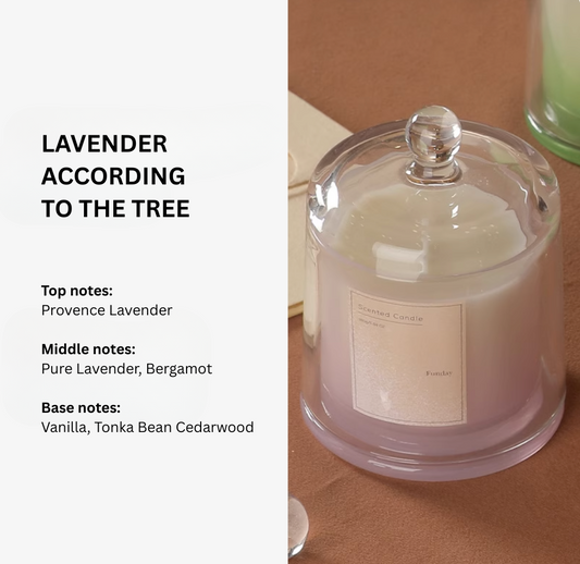 Lavender 3-layer scented candle, fragrance notes – Simple Palette Singapore